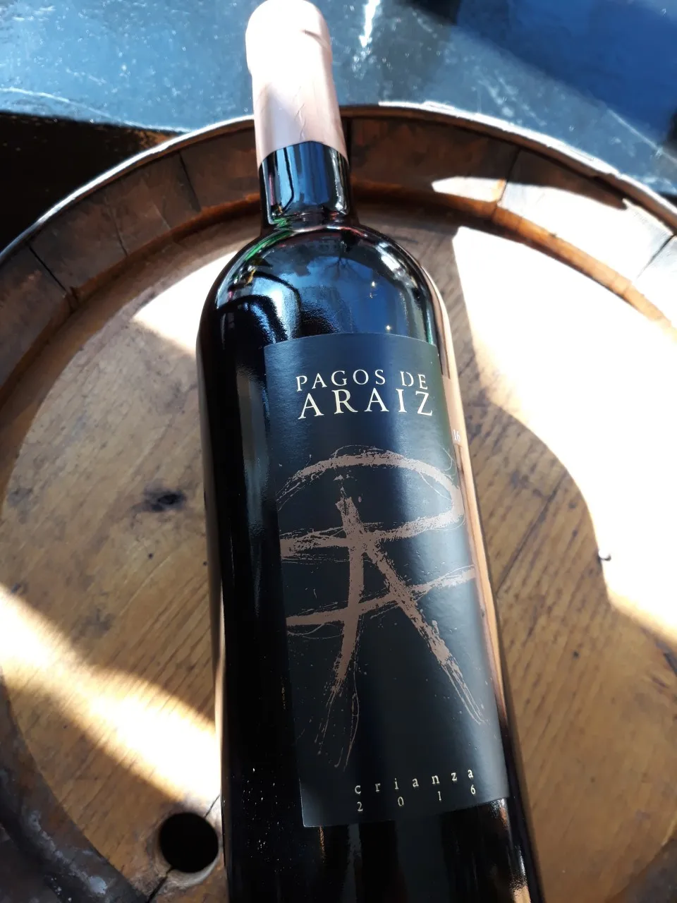 Pagos de Araiz Crianza